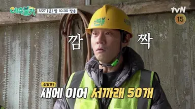 김숙, 제주 하우스 대공사 시작...볏짚 400단 이동 (예측불가)