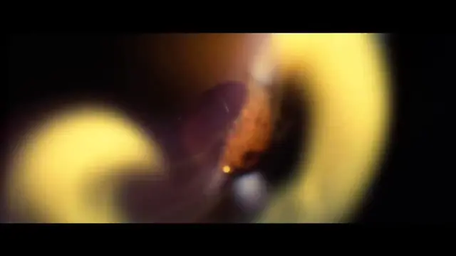 무려 27년 전 영상 : 미션 임파서블 오프닝 타이틀 시퀀스 (1996)
Mission: Impossible (1996) Opening Title Sequence

당시 모션 그래퍼들의 가슴에 불을 지른 전설의 영상. 지금 봐도 멋지다. 영상 작업 좀 한다는 사람은 최소 100번은 봤을 영상...
컷트 컷트 천천히 돌려보며 분석했던 기억이...

47초를 만들기 위해서 타임라인을 몇 번 플레이 했을까?
#KG_영화