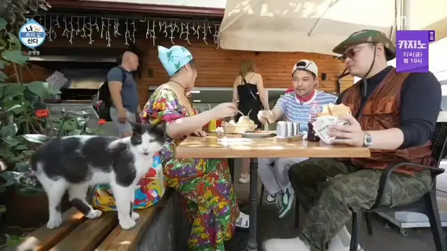 아 지나가던 고냥이 은근슬쩍 팜유 테이블 합석한거 개커여움 ㅠㅠ