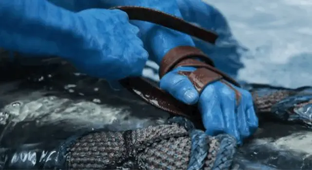 <아바타2: 물의 길> 예고편을 보고 입이 떡 벌어져서 다물어지지 않는 중.
그러니까 제임스 카메론이 직접 판도라 행성 가서 찍고 오느라 12년 걸린 거죠?