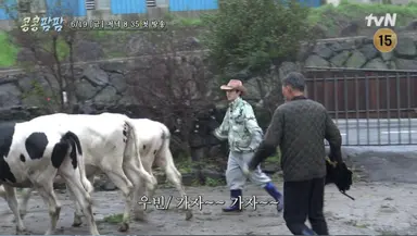 '콩콩팜팜' 이광수·김우빈·도경수, 인생 첫 소몰이...목축업 도전 잔혹사