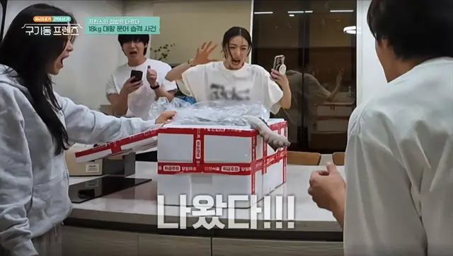 구기동프렌즈 크라켄등장. 개츠어웃김
혼비백산개아수라장됨 ㅈㄴ큰문어를 누가 사요진짜로ㅜㅠ