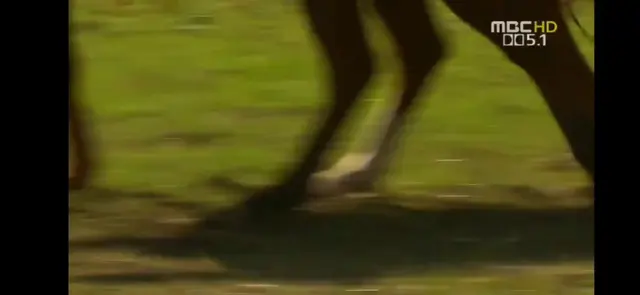 태왕사신기에도 나오는 장면.
뒤에 깔리는 기하 테마곡까지 너무 좋아