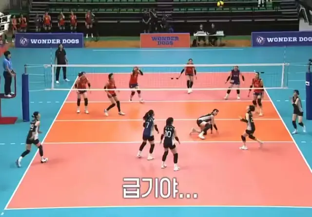 어우 tlqkf

아 김연경 감독님 그만 웃기세요 ㅋ큐ㅠ
상대 볼에 맞을 뻔 했는데 아무렇지 않게 엄지척해주심