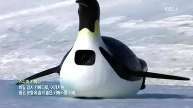 <호퍼스> 후기
보기 전 : 아바타 같은 건가?
관람 후 : 동물의 왕국 스파이 카메라