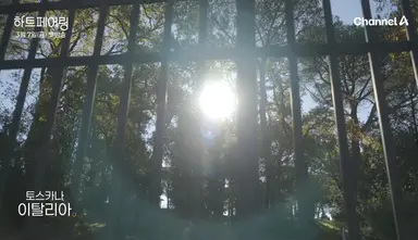 핱시 새 시즌 하트페어링 예고편
이번에는 이탈리아에서 촬영했는데
숙소인가봐 개좋다... 제작진 이번엔 제대로
준비한 듯.. 근데 나는 여기서 사랑찾기 말고
혼자서 한달사기 하고 싶음...