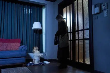 <파과>
한국 영화 속 여성 노인 캐릭터의 기념비적 쓰임새... 이혜영 배우가 고독한 먼치킨 킬러로서 액션과 다각 로맨스를 낋여주는데 훤칠하고 꽤 맛있음
뚝딱이는 전개에도 영화 말미에 케이팝 팬이라면 모를 수 없는 그 장소에서 레더 자켓 입고 퍼포먼스 비디오까지 찍어주시는데 싫을 리가 없음