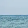 덕이씨