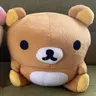 준하