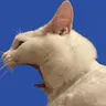 memememe