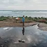 보글