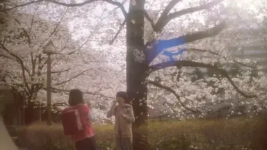 초속 5센티미터 봣듬
일단 뮤비감독 출신인거 ㅈㄴ 티난다고 생각함 정말 많은 장면들이 아름답고 뮤비같음 (달리는 장면은 반드시 핸드헬드인 것 등..)
찍는다고 햇을 때부터 무지 기대햇는데 솔딕히 스토리는 전혀 공명이 안됨 (애니안봄)
걍 참 좋은 배우들이 각자 젤 잘하는 걸 하고 잇단 생각이..