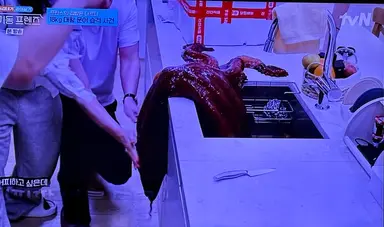 <구기동 프렌즈> 재미있을 거라 전혀 기대하지 않았는데 문어 한 마리로 금요일 밤 9시 30분에 나를 이렇게 큰소리로 웃게 하다니.
