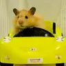 슷따