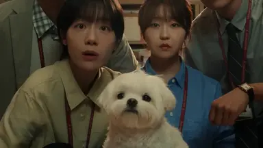 <프로보노>에 나오는 강아지 너무 귀여워서 미치겠다... 이름이 ‘제리’고 갯벌 좋아한대.. 아 너무 말랑우유찹쌀떡 같애서 진짜 와앙 잡아먹고 싶음......