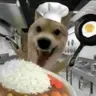 채광창민