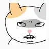 코로세