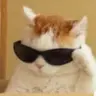 뀨