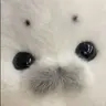 히카
