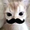 화