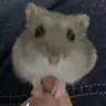 뮈췬신도