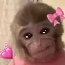숭정