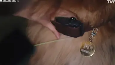 <프로보노> 4화까지 봤지만 사회적 문제 이슈에 대해 다루는 거 진짜 미친 것 같음p...

1-2화 유기견 절도 사건
반려견은 물건이다 아니다 동물권이랑
짖음 방지 목걸이에 대해 다루고

3-4화 선천성 하지마비 강훈이 사건
장애인이동권이랑 장애인 특수학교까지 다룸..