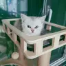 기용이 엄마