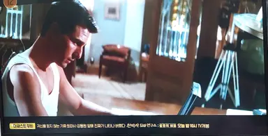 1996년도 개봉한 미션 임파서블 톰 크루즈
너무 젊어ㅎㅎㅎㅎ