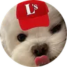짱돌²⁹
