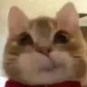 무영