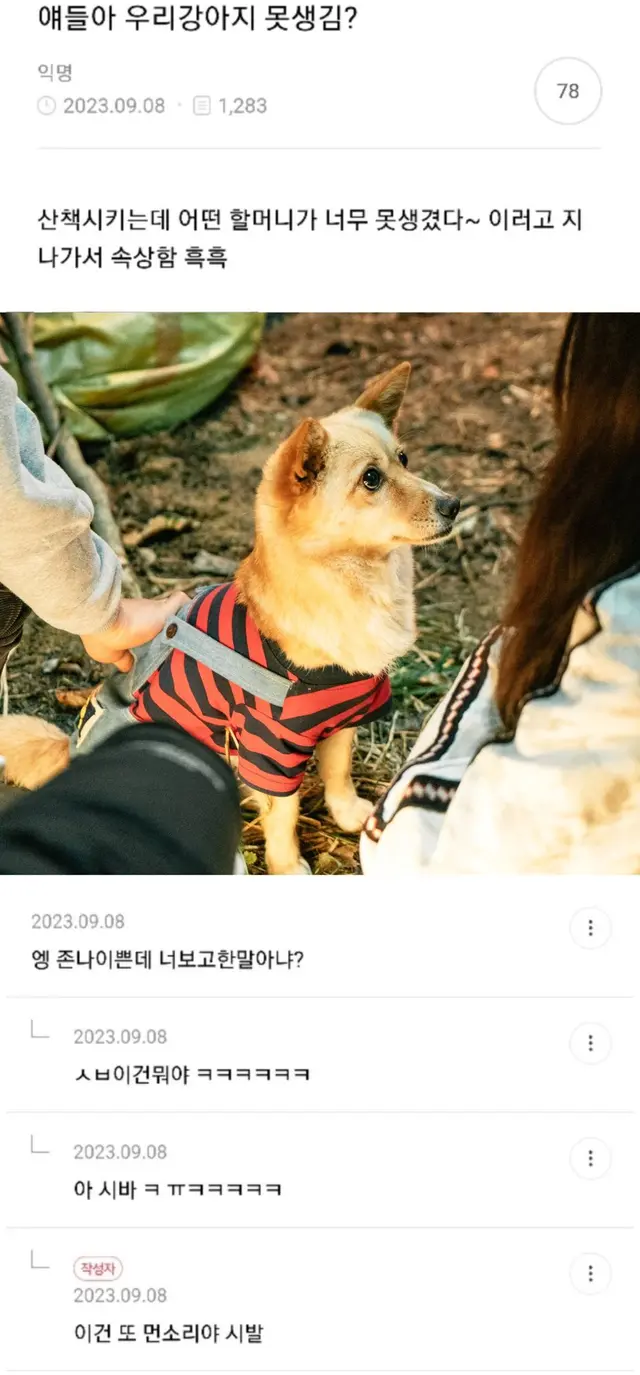 핸섬가이즈