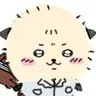 듀콘
