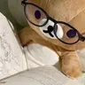 영