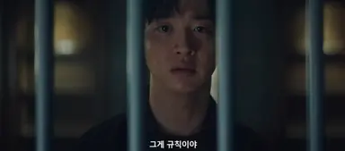 사마귀 연출 진짜 기기괴괴한데 고트하다
감옥에 갇힌 건 정이신인데
범죄자한테 끌려다니면서 수사당하는 건
차수열 포함 경찰이라서 차수열 샷에만
쇠창살 비치는 연출 미친 것 같아
이렇게 연출한거 너무 짜릿해