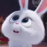 먀