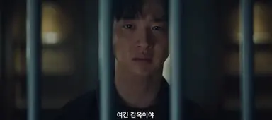 사마귀 연출 진짜 기기괴괴한데 고트하다
감옥에 갇힌 건 정이신인데
범죄자한테 끌려다니면서 수사당하는 건
차수열 포함 경찰이라서 차수열 샷에만
쇠창살 비치는 연출 미친 것 같아
이렇게 연출한거 너무 짜릿해