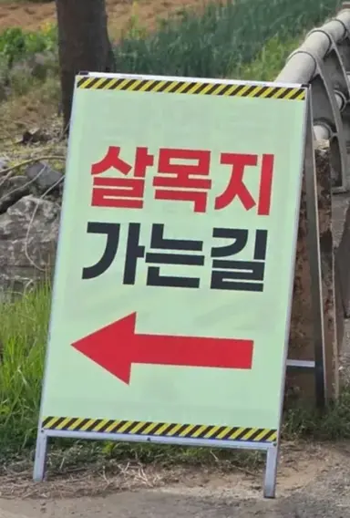 심령스팟도 K-관광지화되면 별 거 아니구나