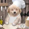 똥이⋰˚✩