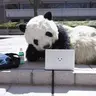 타다닥