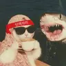 찐찐