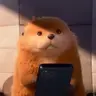 풉