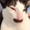 우렁