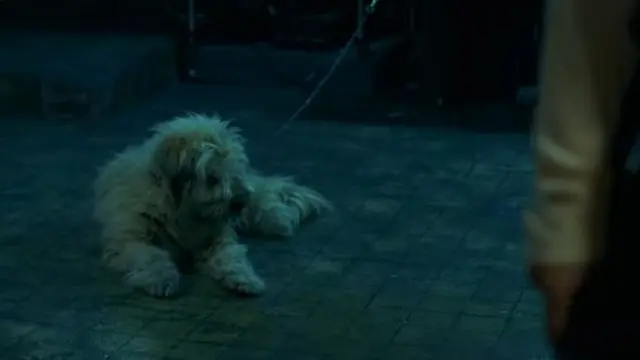 부고니아라는 영화에는 지구가 없어...
제목에도 없고 영화에도 없고 지키지도 않음