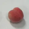 페이보릿딩
