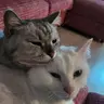 따뜻