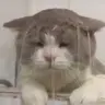 🥺🙏
