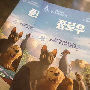 플로우 포스터를 꼭 챙기도록 해.. 뒷장에 냥이 만들기 잇으니가.....