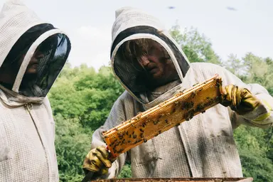 부고니아
깔끔하게 리메이크했지만 원작에 비해 아쉬운 점이 많았다. 원작의 감정적인 부분을 절제한 게 아쉬웠고 병구에 비해 테디는 사이코적인 광기가 부족한 듯. 엔딩만큼은 부고니아가 더 마음에 들었다. 그리고 요르고스 란티모스 특유의 미장센이 좋았고 배우들의 연기도 좋았다.