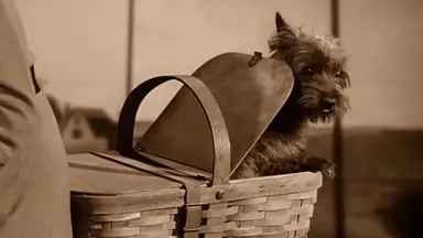 위키드 본 사람들 볼 사람들 오즈의마법사 안 봤으면 꼭 봤으면 좋겠다 제목부터 자전거, 바구니 안 아기사자, 엘파바마법+파피꽃 때문에 잠들어버린 학생들, 마법사 만나기 전 새단장하는 엘피 글린다 등 이스터에그? 오마주? 찾는 재미가 있는데...